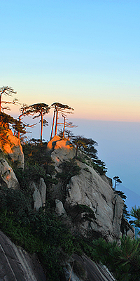 视觉政府4（200*400）